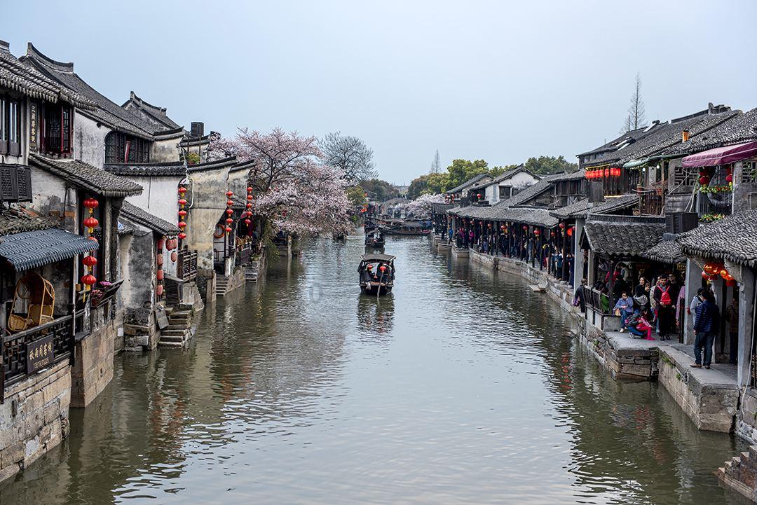 救援小肥兔